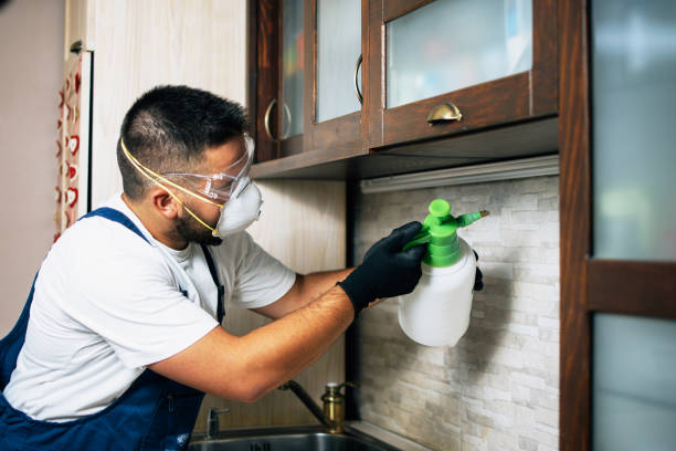 Wildlife Control Services in Campbelltown, PA