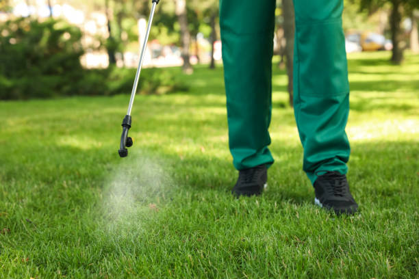 Best Wasp Removal Services  in Campbelltown, PA