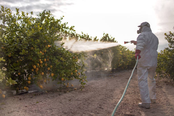 Best Pest Inspection Near Me  in Campbelltown, PA