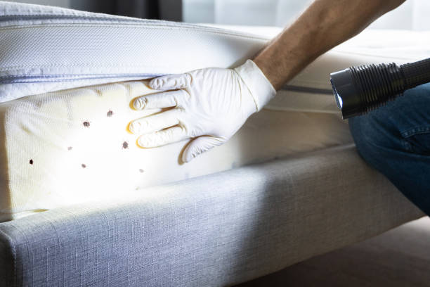 Best Best Pest Control Companies  in Campbelltown, PA