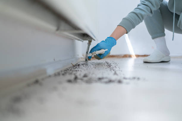 Best Pest Control for Businesses  in Campbelltown, PA