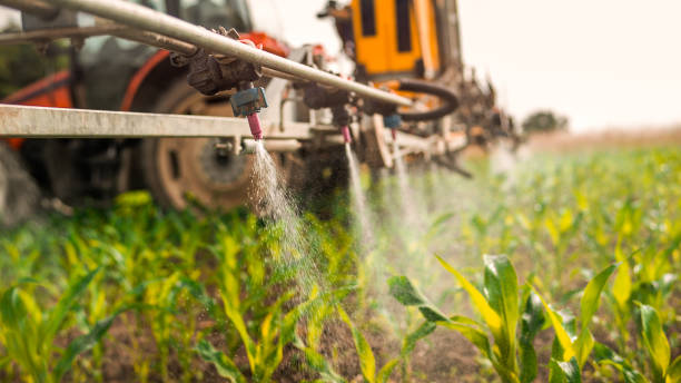 Pest Control Cost in Campbelltown, PA