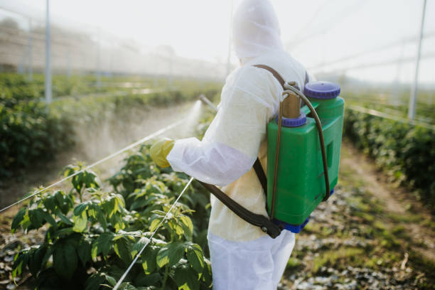 Best Residential Pest Control  in Campbelltown, PA